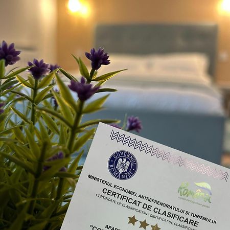Central Cosy Apartment Kaloşvar Dış mekan fotoğraf