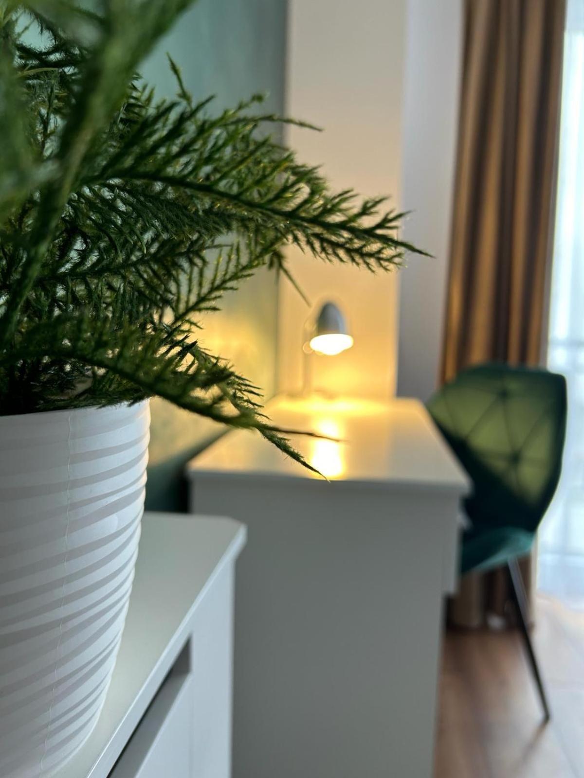 Central Cosy Apartment Kaloşvar Dış mekan fotoğraf