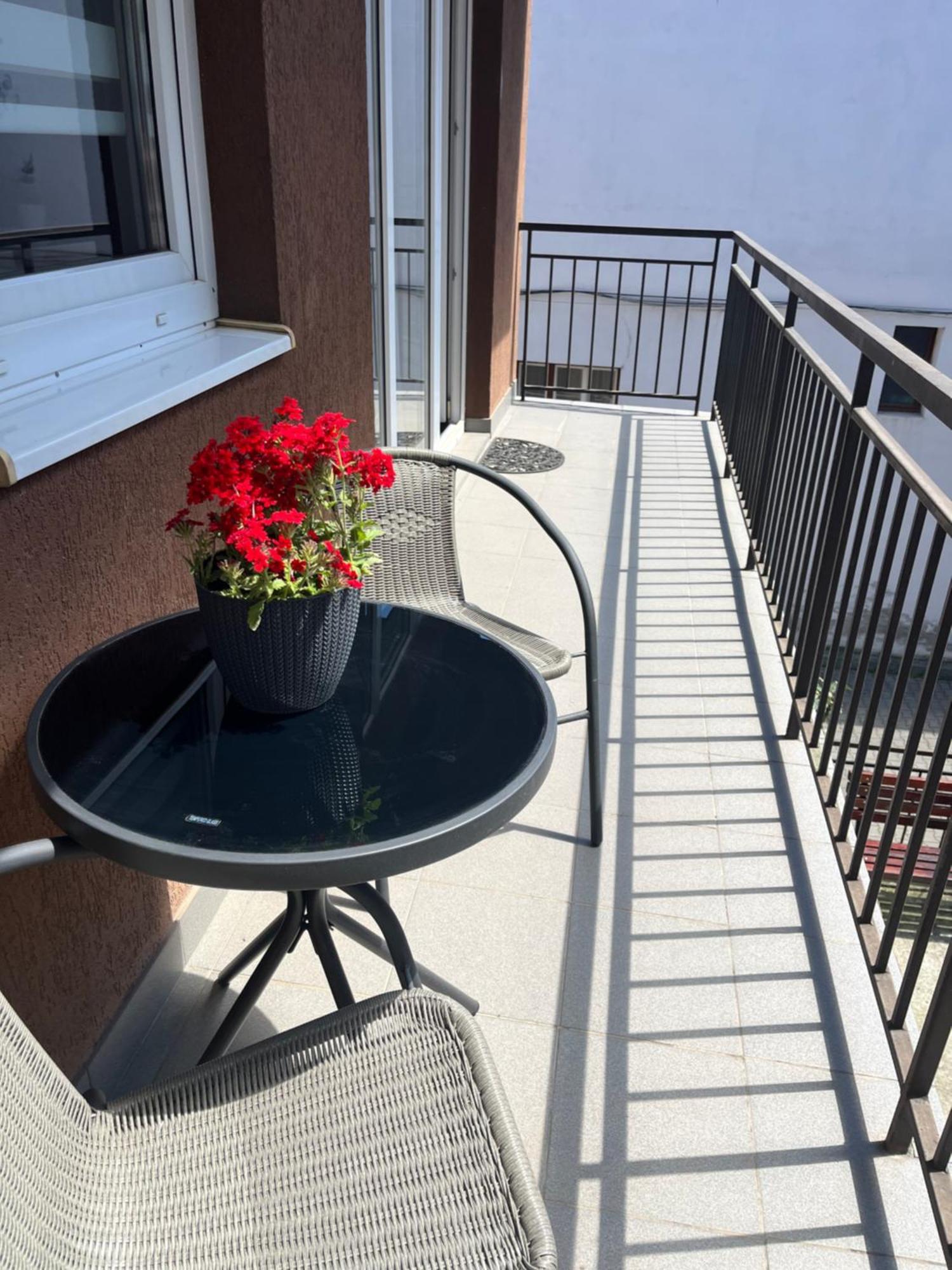 Central Cosy Apartment Kaloşvar Dış mekan fotoğraf