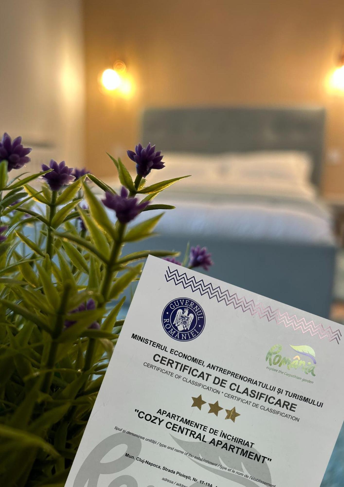 Central Cosy Apartment Kaloşvar Dış mekan fotoğraf